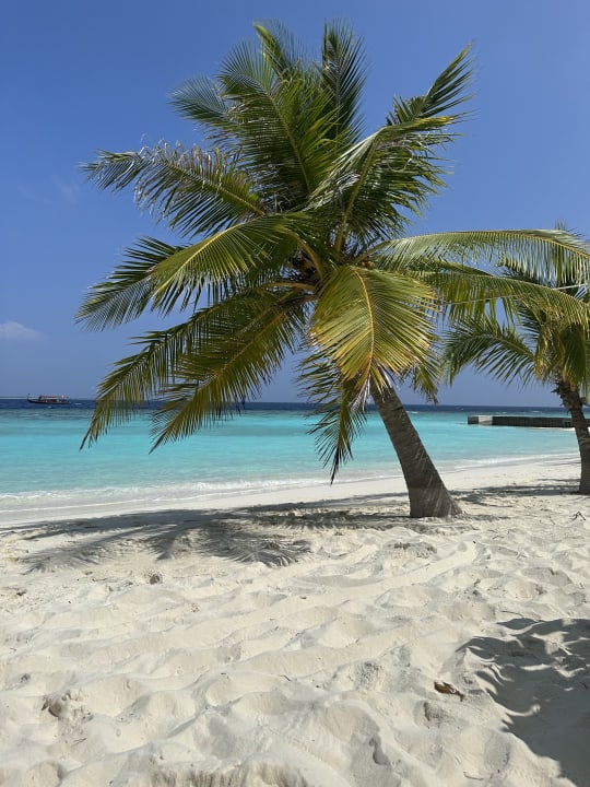 Strand Adaaran Select Meedhupparu Island Resort - Premium All Inclusive