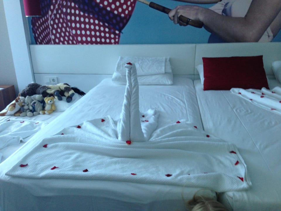 Schwan Vikingen Infinity Resort & Spa