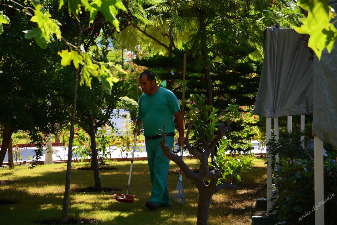 Delphin Imperial Hotel Delphin Imperial