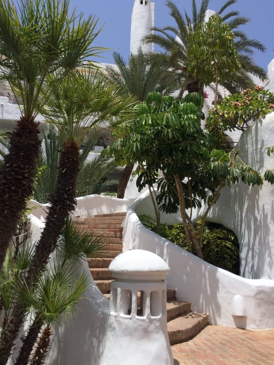 Interessanter Stil Dreams Jardín Tropical