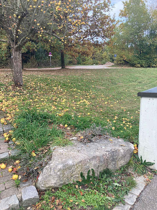 Außenansicht Hotel & Spa Gut Matheshof BW Signature Collection by Best Western