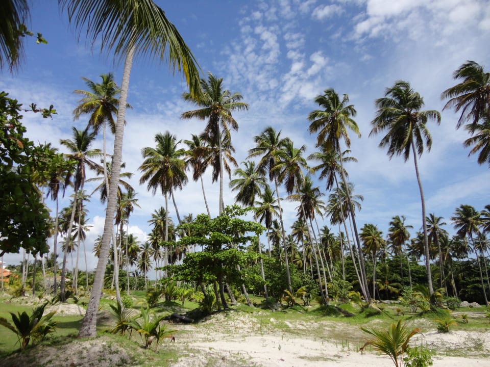 Weg zum Hotelstrand Villas Bavaro Resort & Spa