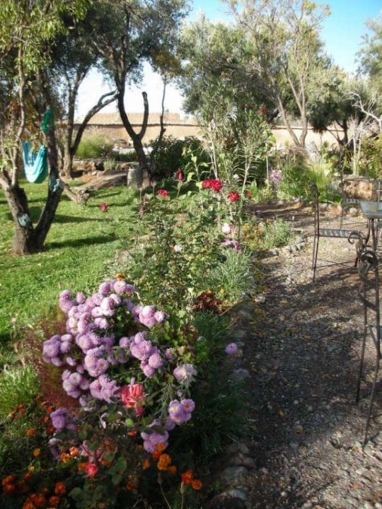 Der Garten vom Hotel Hotel Les Jardins de Skoura