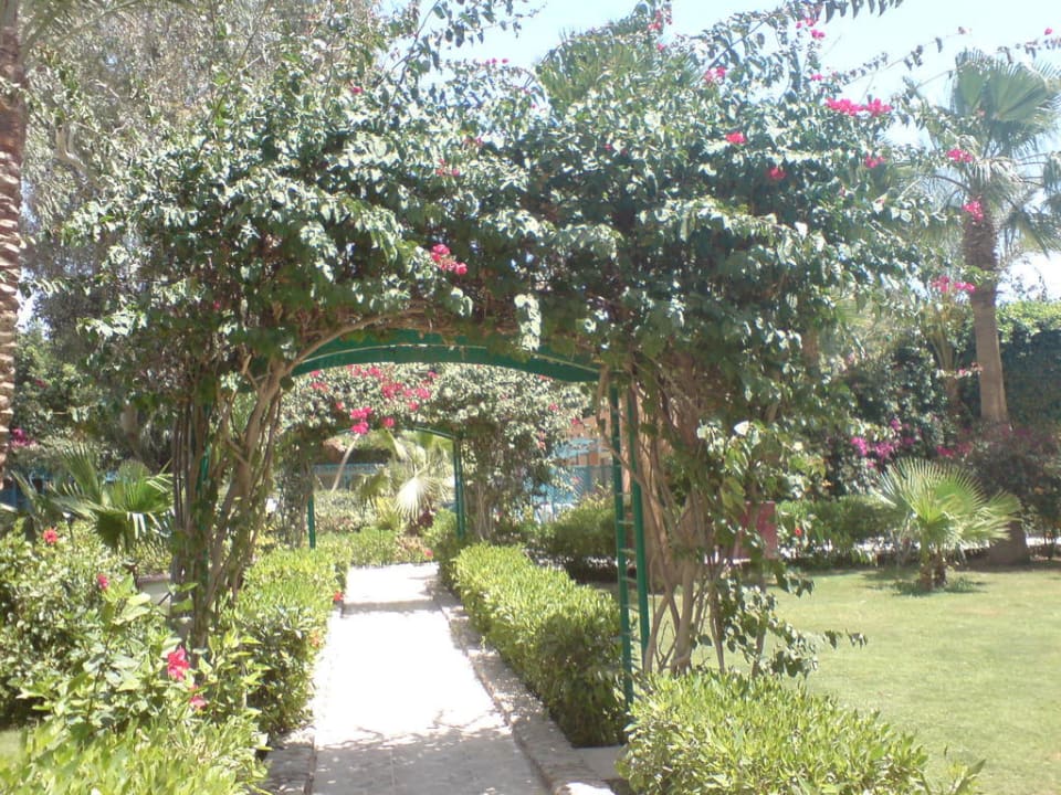 Anlage Giftun Azur Resort