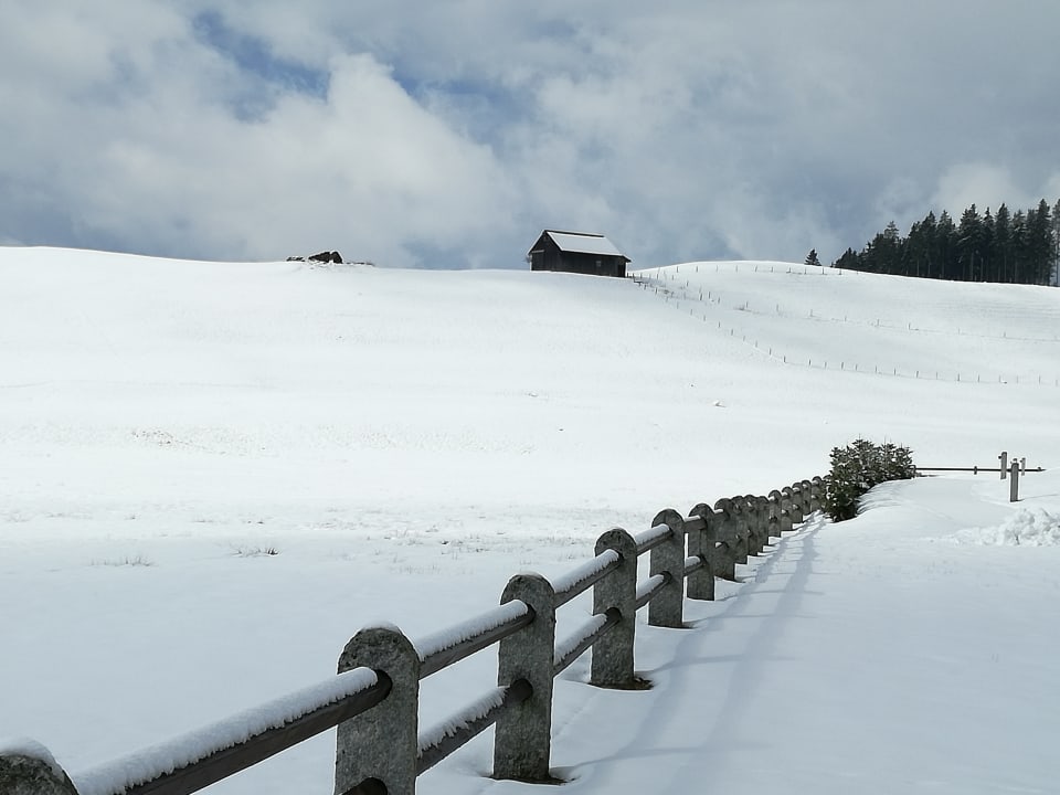Ausblick Haubers Naturresort
