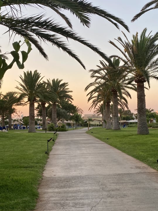 Gartenanlage Anissa Beach & Village