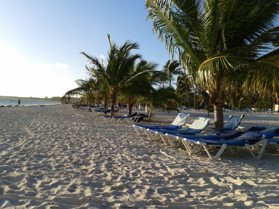 Super ohne Plastikschirme nur Palmen Villas Bavaro Resort & Spa