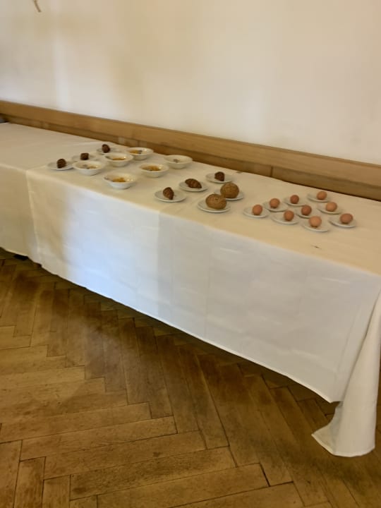 Gastro Seehotel Hubertus -Schloss am See