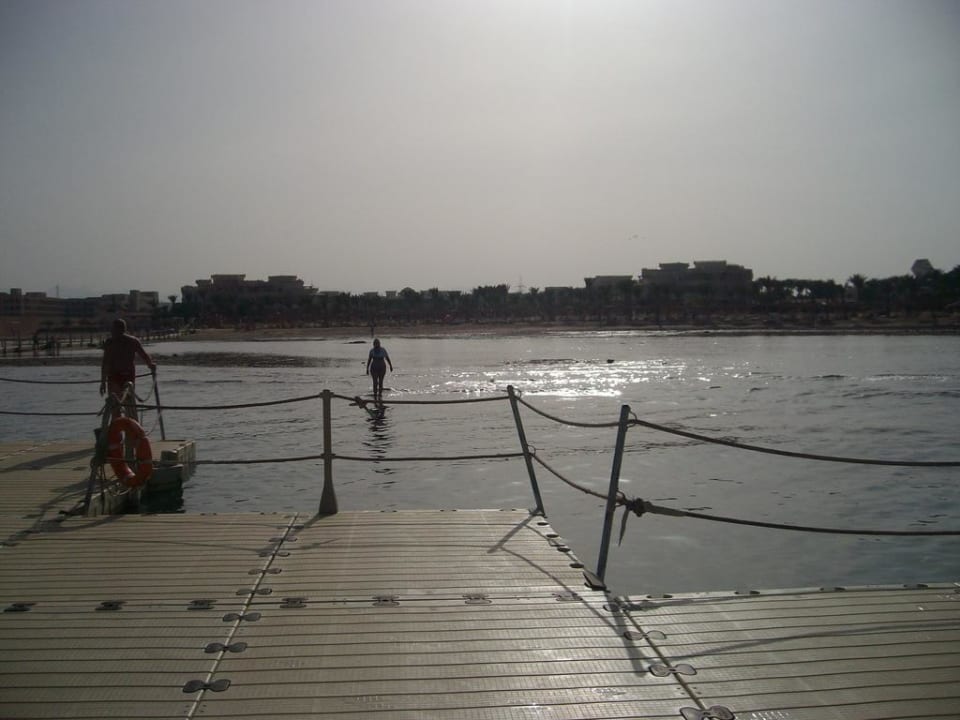 Steg Beach Albatros Resort