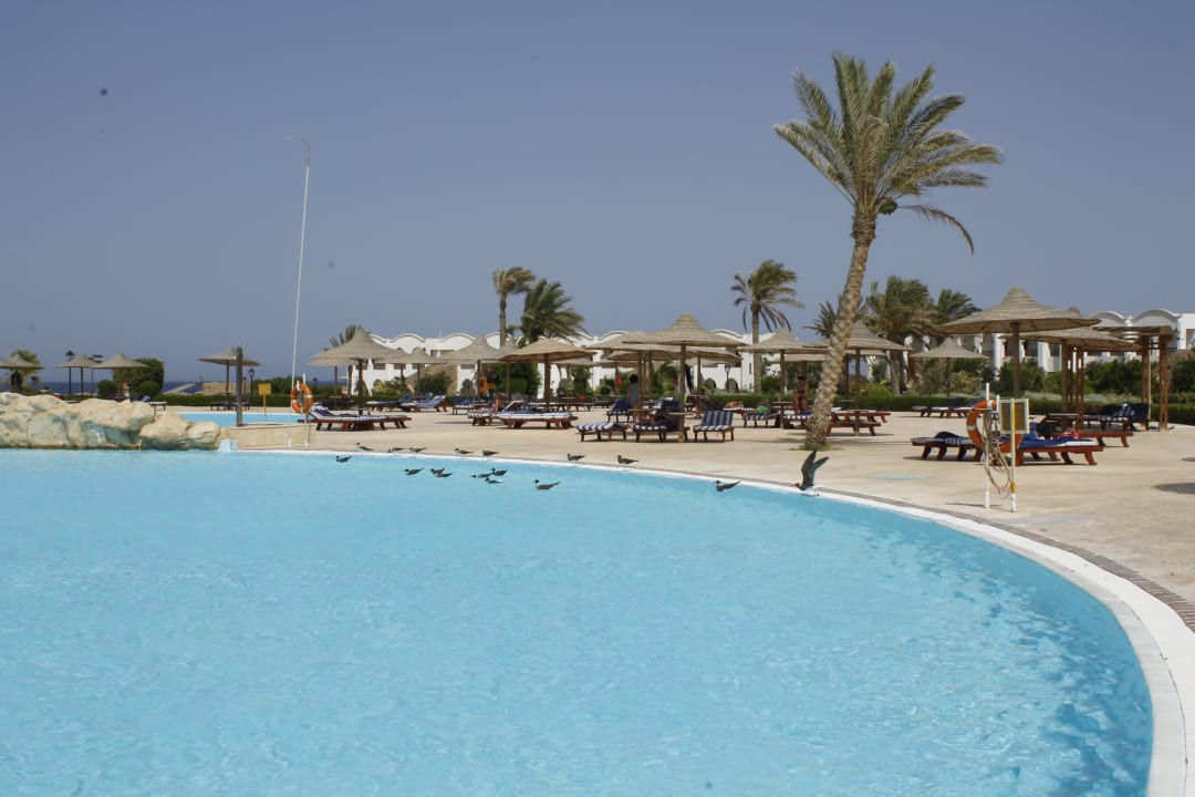 Pool Hotel Gorgonia Beach Resort