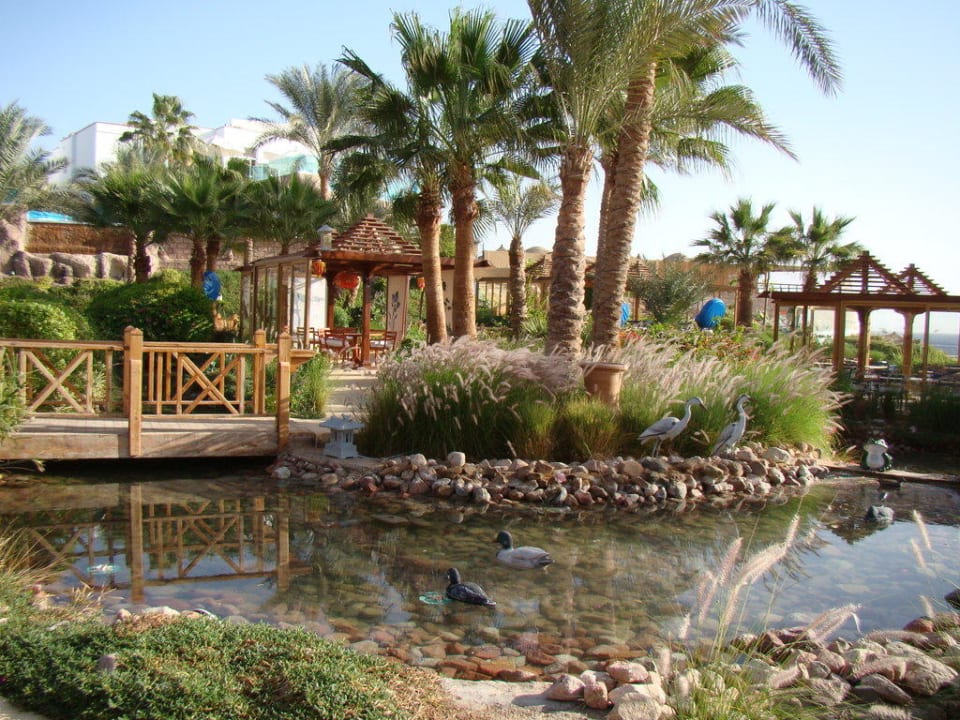 Сад Savoy Sharm El Sheikh