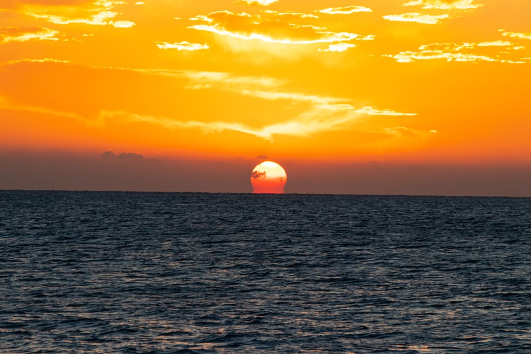 Ausblick Desert Rose