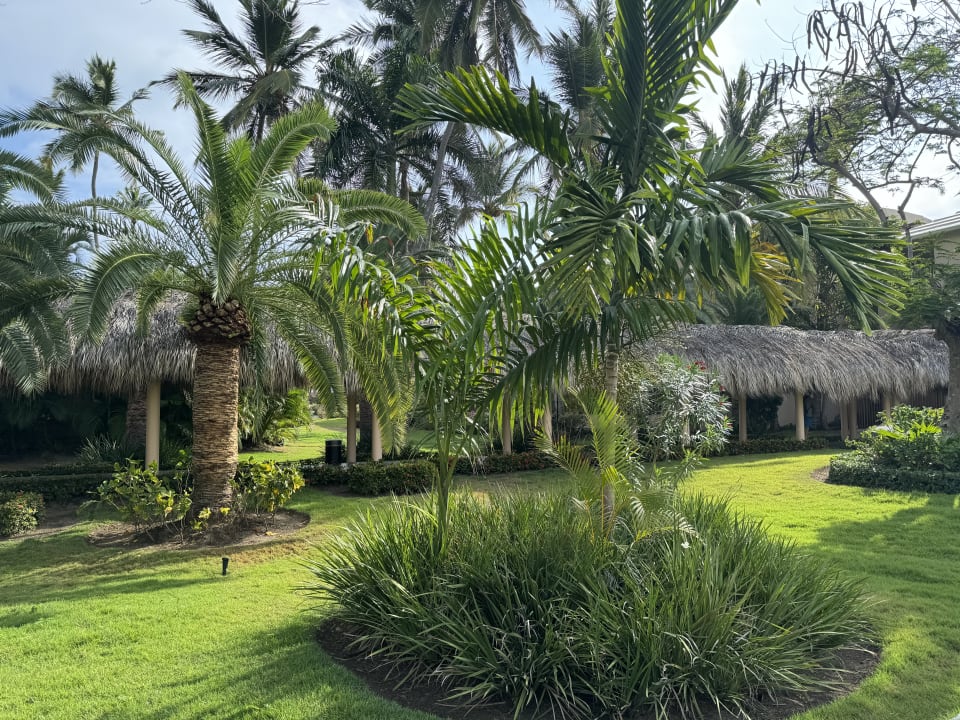 Gartenanlage Grand Palladium Punta Cana Resort & Spa