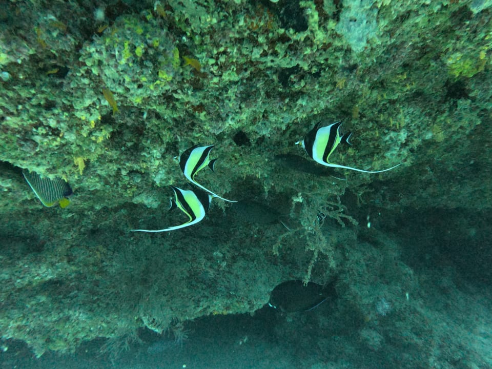 Sport & Freizeit NH Collection Maldives Reethi Resort