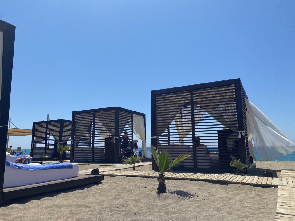 Strand TUI BLUE Palm Garden