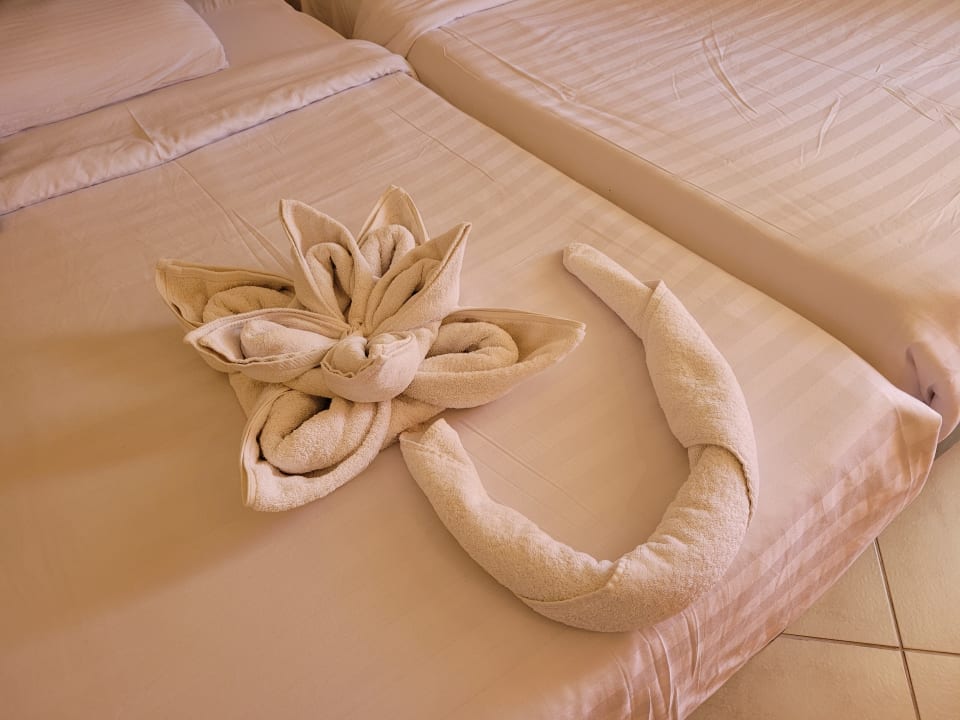 Zimmer Three Corners Sea Beach Resort