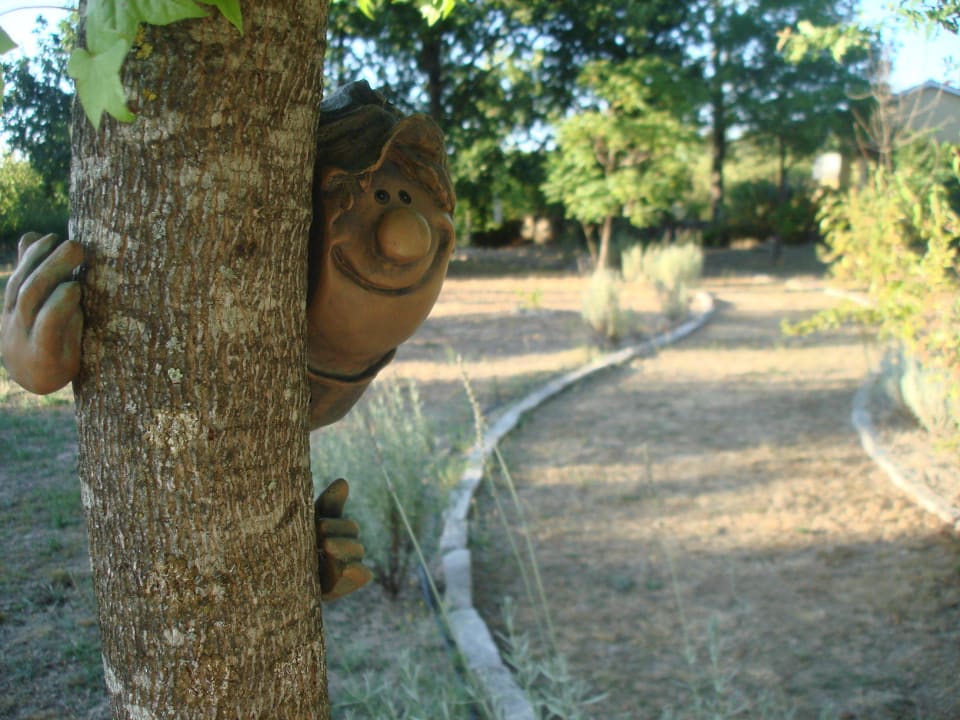 Path near the biologic pool Casa das Palmeiras