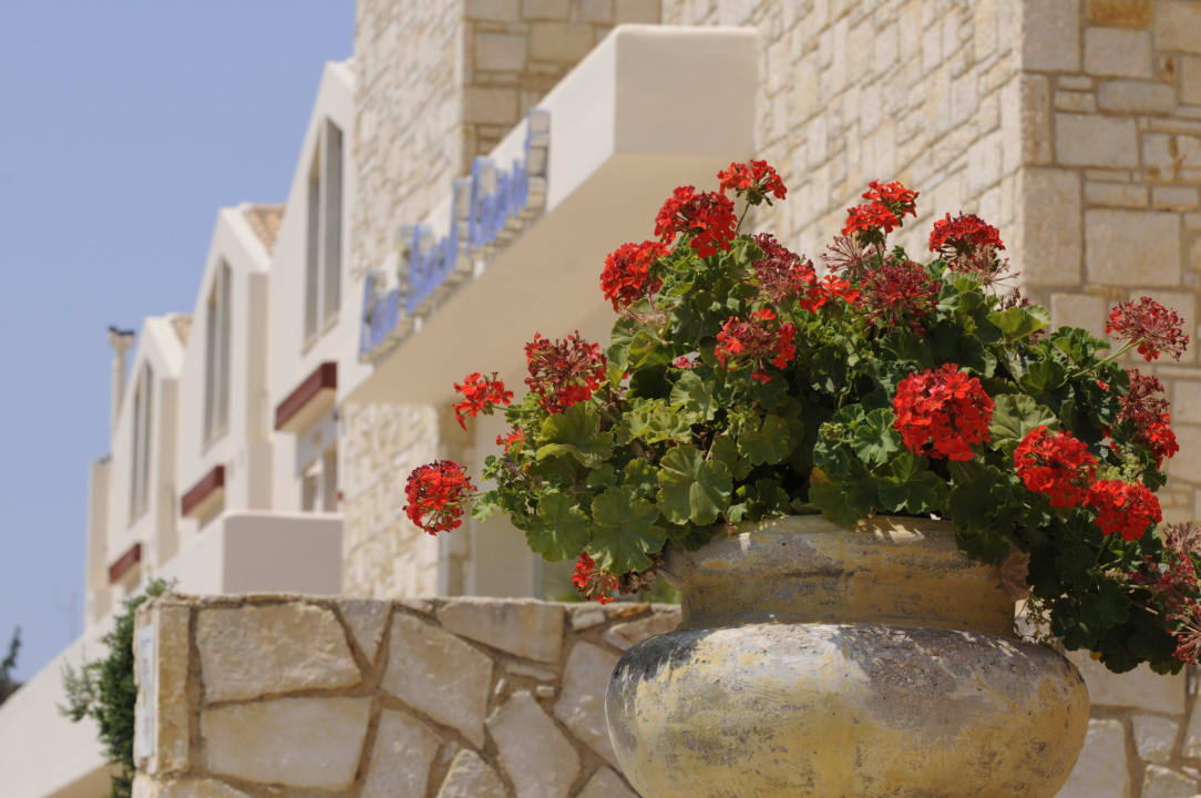 Kiani Beach Resort Kiani Beach Resort Family All Inclusive