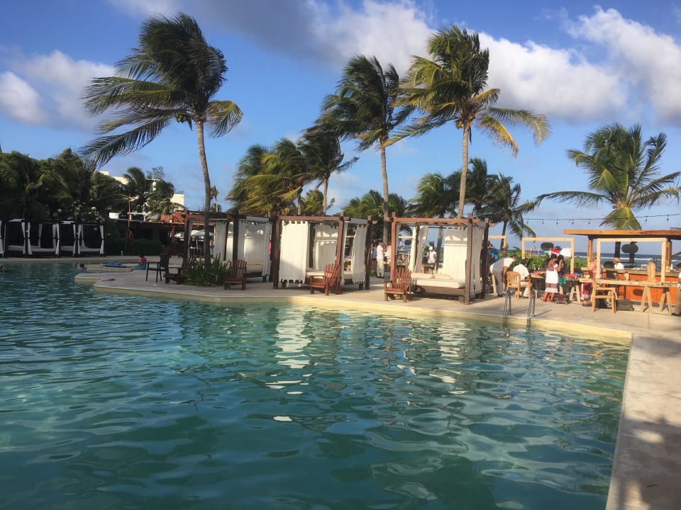 Pool Akumal Bay Beach & Wellness Resort