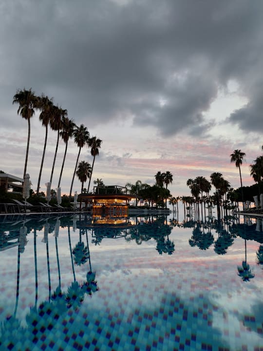Pool Acanthus Cennet Barut Collection