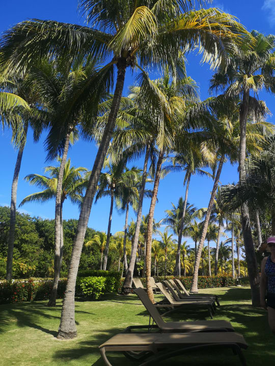 Gartenanlage Royalton Hicacos Resort & Spa - Adults only