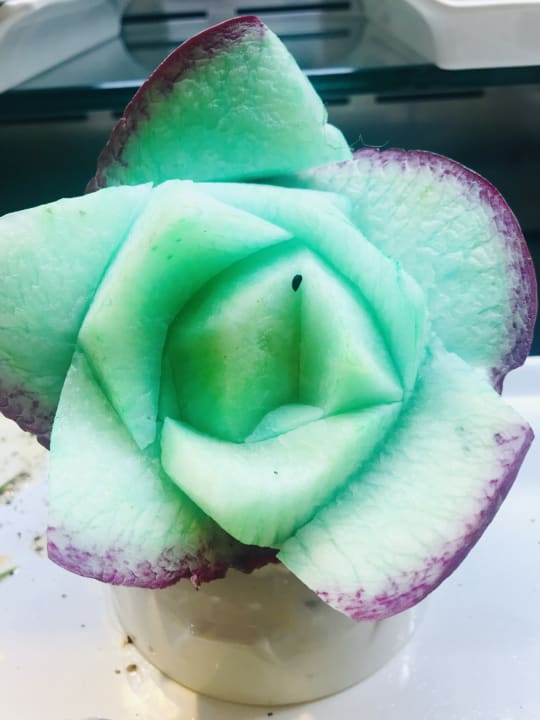 Gastro Sentido Trendy Verbena Beach