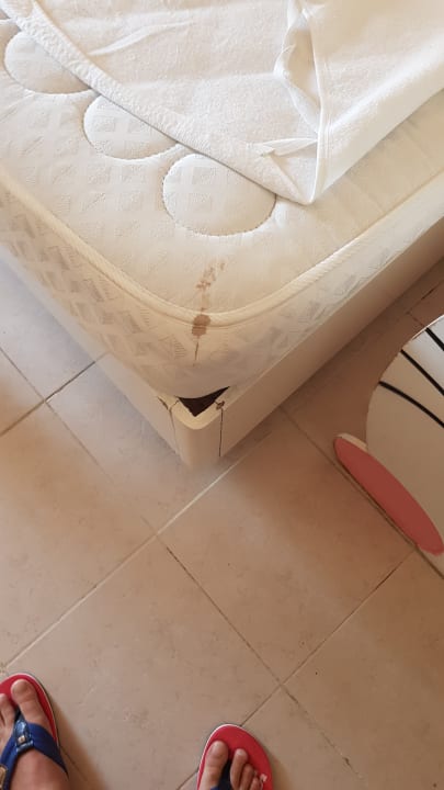 Zimmer Palmyra Aqua Park Kantaoui