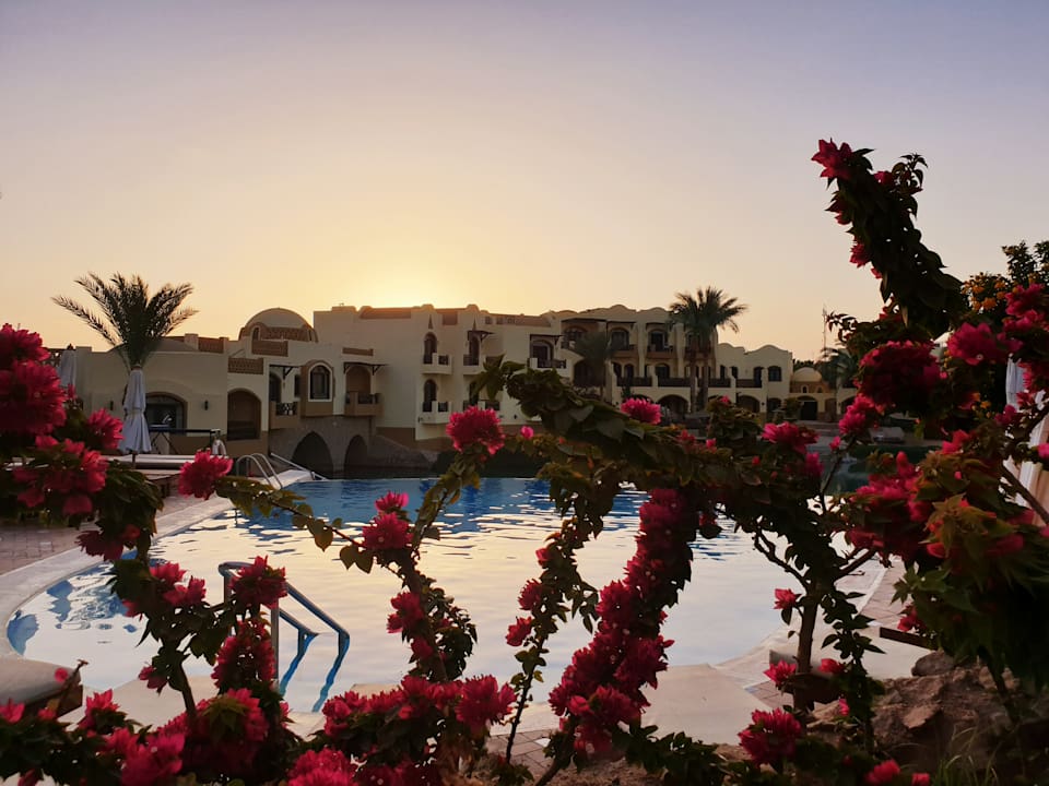 Pool Dawar El Omda - Adults only  (Im Umbau/Renovierung)