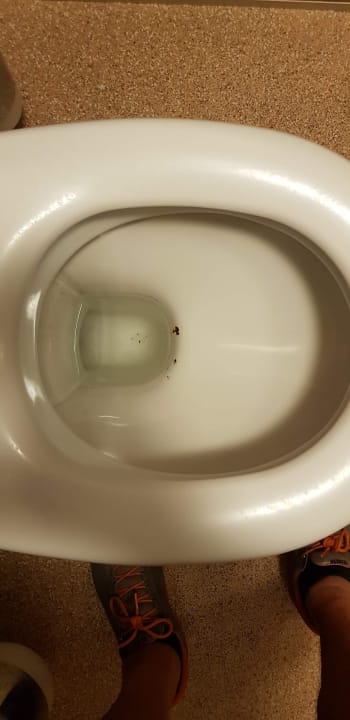 Zimmer Hotel Kaiserrast