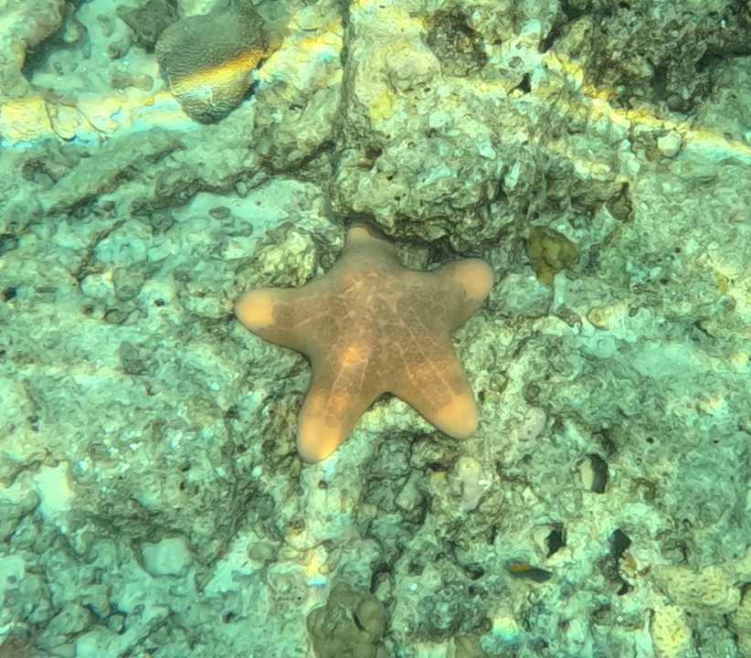 Sonstiges OBLU SELECT at Sangeli Island