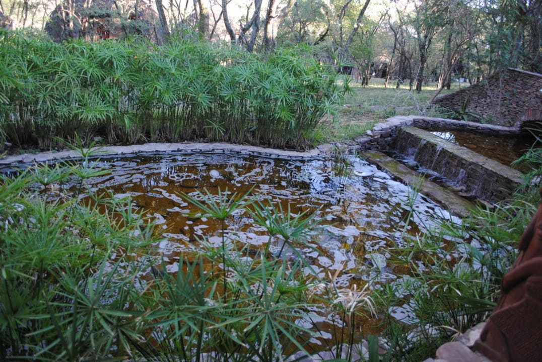 Garten Serengeti Serena Safari Lodge