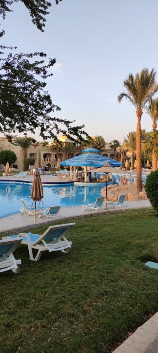 Pool Serenity Alpha Beach