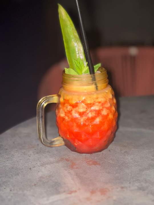 Gastro Calyptus Kirman Premium