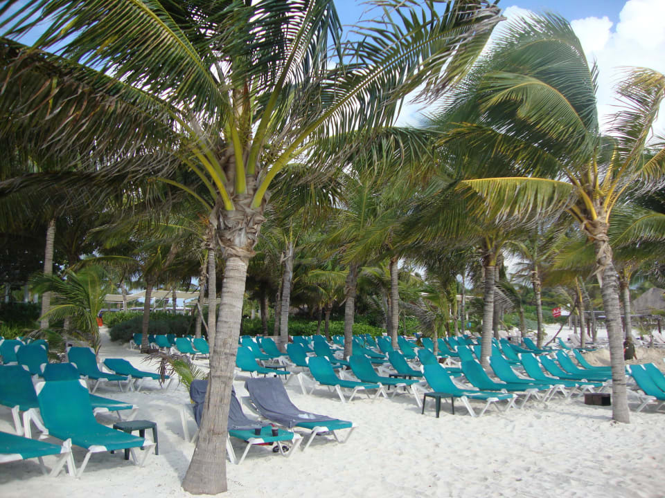 Hotel Catalonia Playa Maroma Catalonia Playa Maroma