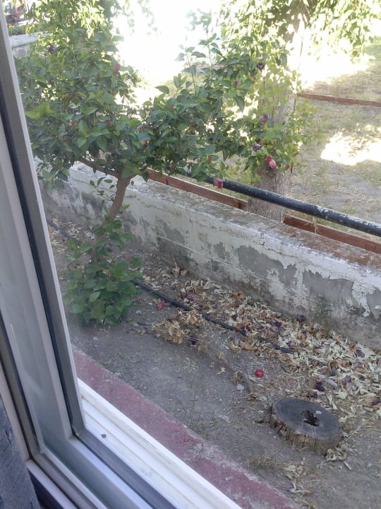 W przybudówce 2 Alfa Hotel