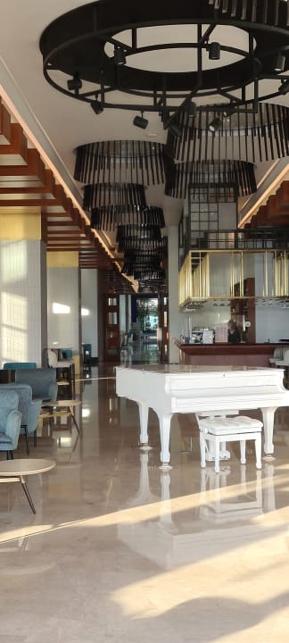 Gastro Acanthus Cennet Barut Collection