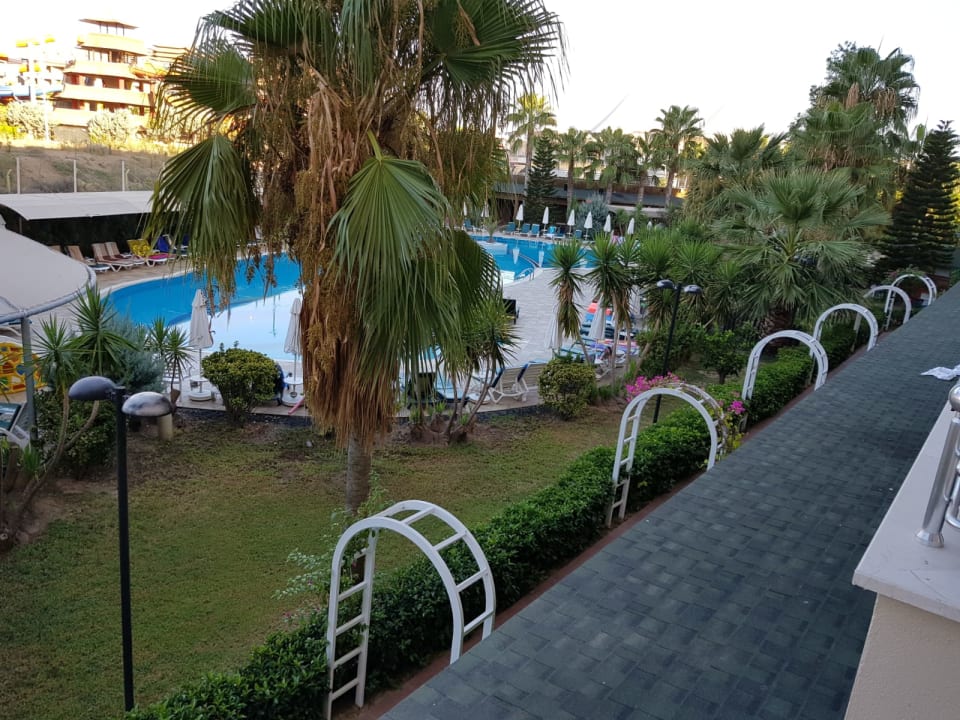 Pool Calimera Hane Garden