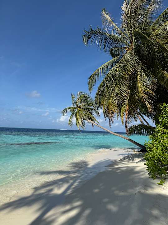 Strand Vilamendhoo Island Resort & Spa