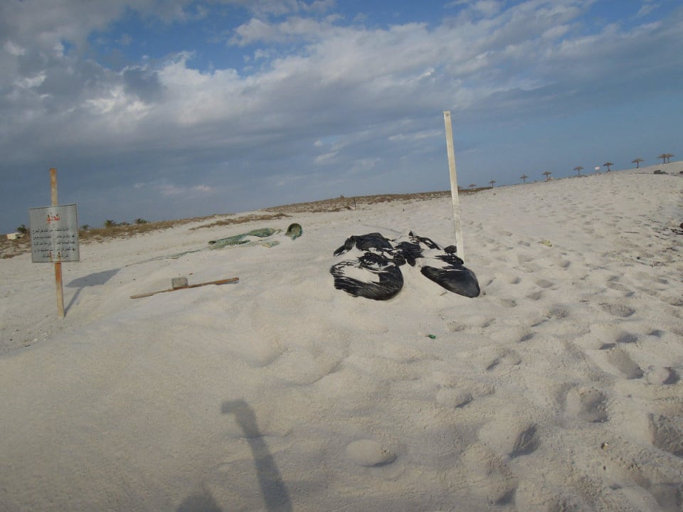 Müllsäcke Wyndham Garden Salalah Mirbat