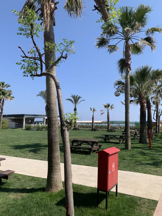 Gartenanlage Belek Beach Resort Hotel