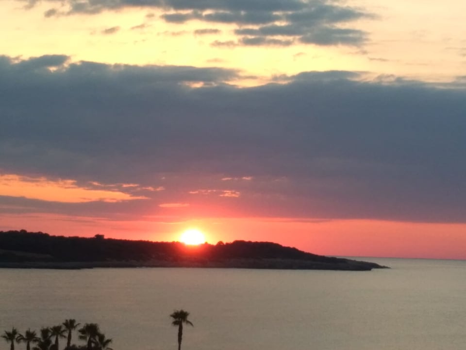 Ausblick Aparthotel Playa Dorada