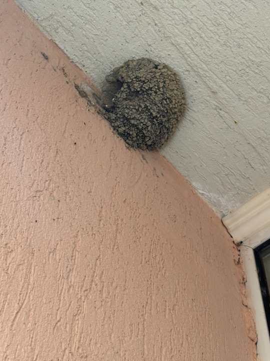 Zimmer Royal Park Hotel & Aqua park