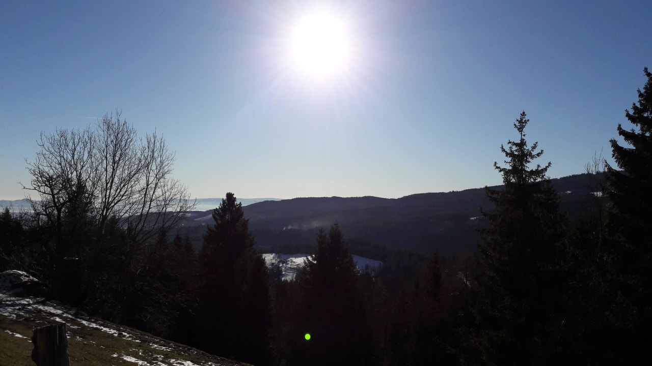 Aussicht soweit das Auge reicht Gasthof Reinbacher