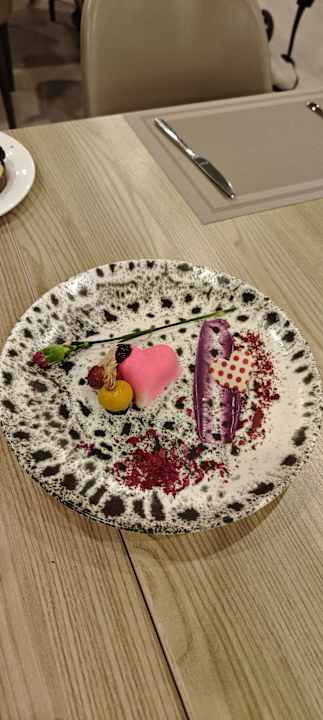 Gastro Delphin BE Grand