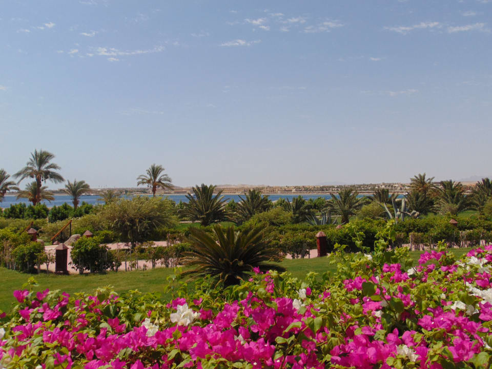 Gartenanlage Fort Arabesque Resort, Spa & Villas