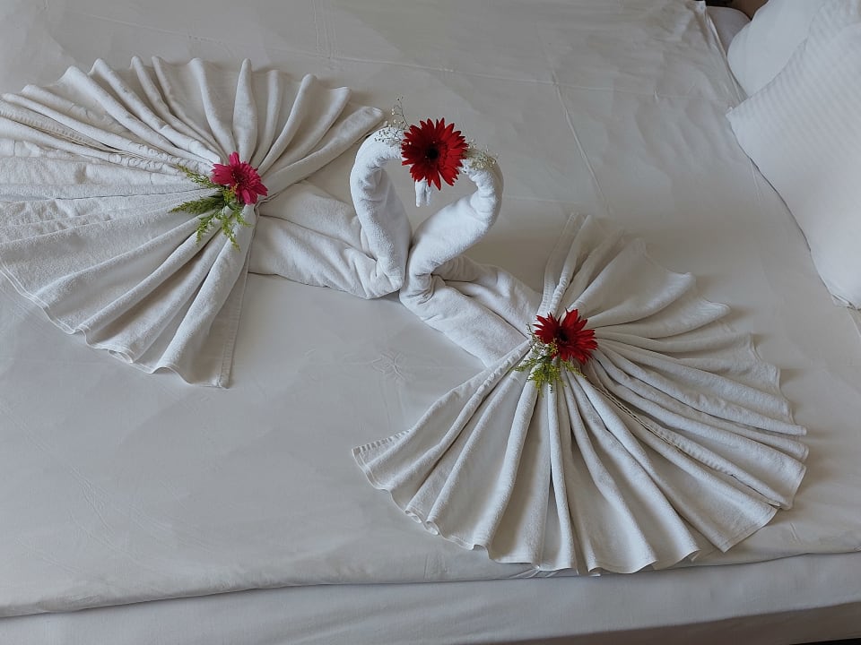 Zimmer Sherwood Dreams Resort