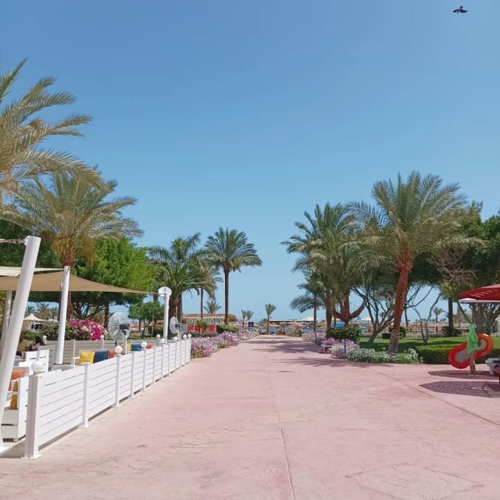 Außenansicht Desert Rose