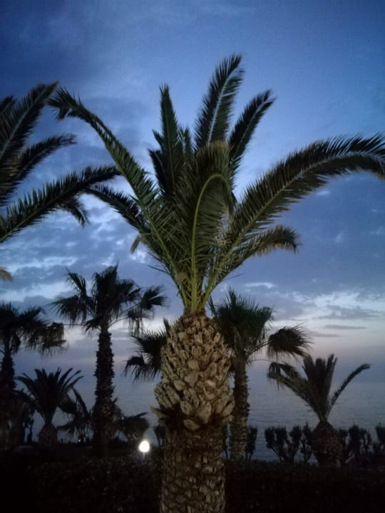 Gartenanlage Iberostar Waves Creta Panorama & Mare