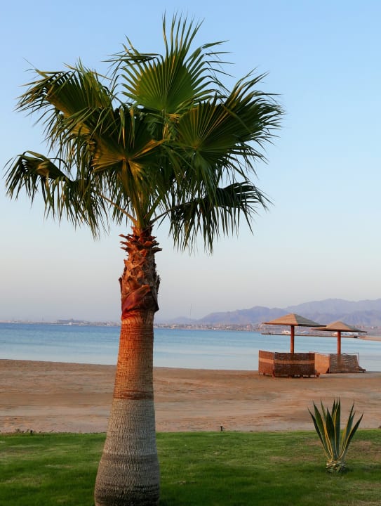 Strand Shams Prestige Abu Soma-Adults Only