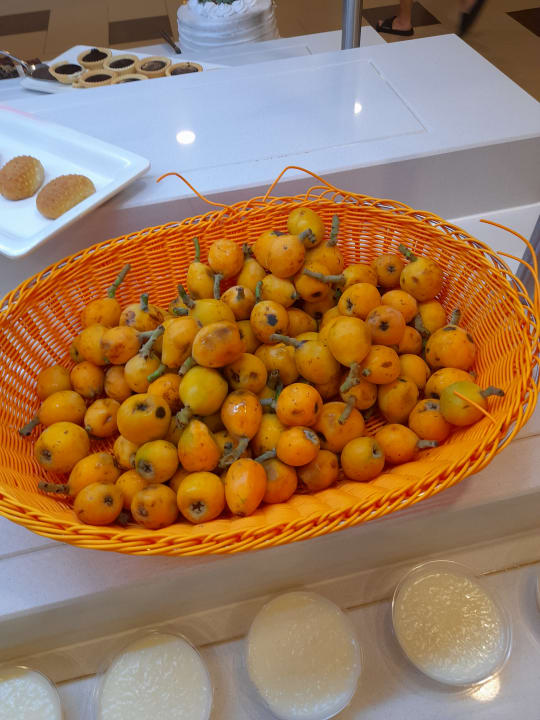 Gastro Calimera Hane Garden